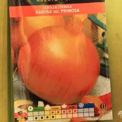 Cebolla babosa: cuándo se planta para obtener la mejor cosecha