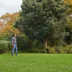 Cuándo podar las plantas para asegurar su salud y floración óptima