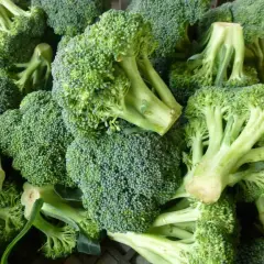 Cuándo plantar brócoli para evitar errores comunes en el cultivo