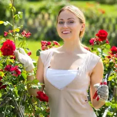 Cuando plantar rosales por esquejes: evita errores comunes y logra éxito