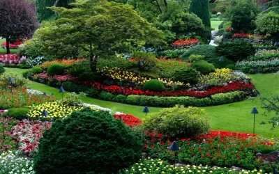 Arbustos que dan sombra: elige los mejores para tu jardín