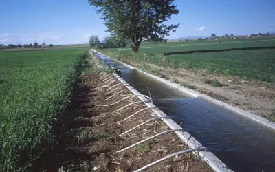 Repartir el agua para el riego: estrategias para evitar la escasez