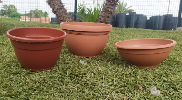 Cómo elegir la mejor pintura para macetas de barro y evitar errores