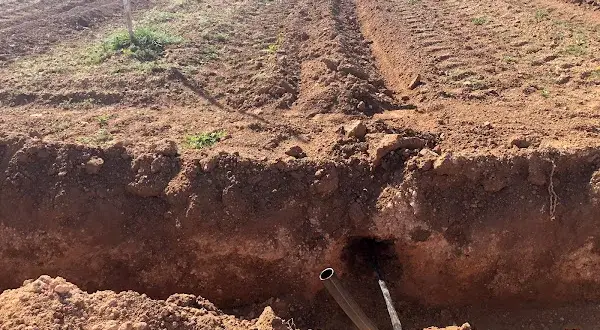 Riego por goteo subterráneo: mejora la eficiencia del agua y cultivos