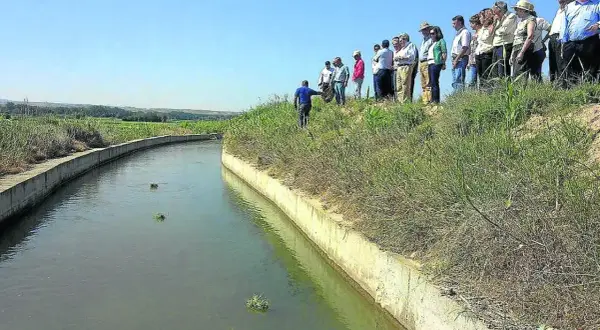 Repartir las aguas para el riego: técnicas efectivas para optimizar el agua