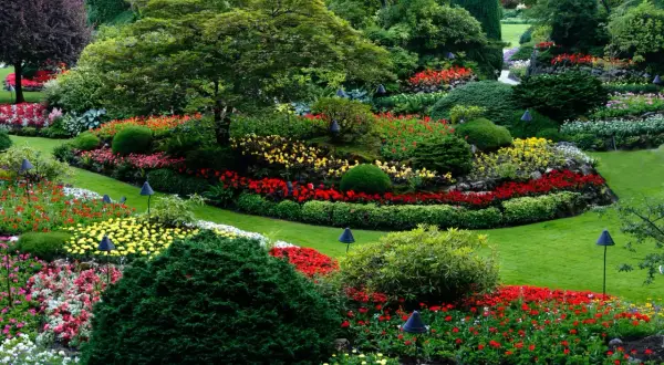 Arbustos que dan sombra: elige los mejores para tu jardín
