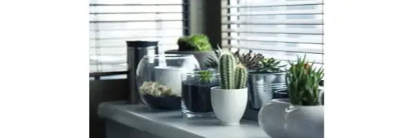 Maceta carita: alegra tu hogar con estas macetas divertidas y únicas