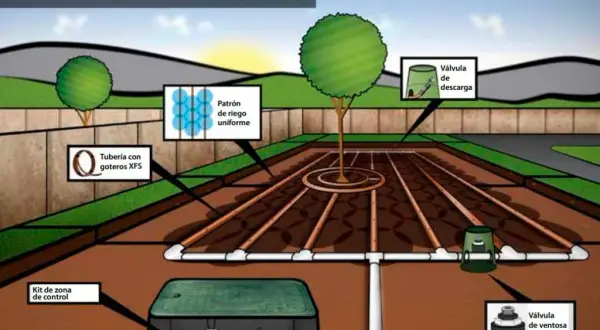 Esquema instalación riego por goteo: evita errores comunes y ahorra agua