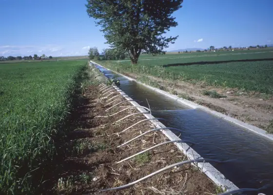 Repartir el agua para el riego: estrategias para evitar la escasez